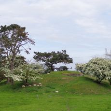 Betonnen werken Uitermeer-Hinderdam te Weesp: V.I.S.-Mitrailleurkazematten