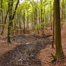 Obere Ahr mit Mülheimer Bach, Reetzer Bach und Mühlenbachsystem