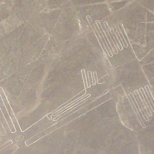 Geoglifo Pelecanus de Nazca