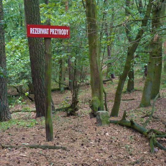 Nature reserve Promenada