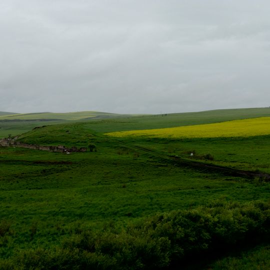 New Barag Left Banner