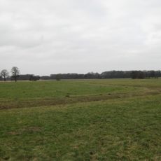 Feuchtwiesen Ströhen