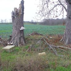 Kříž u silnice z Levonic do Postoloprt