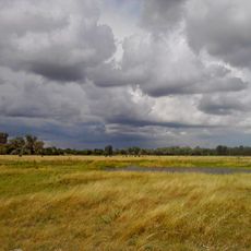 Hlynskyi Hydrological Reserve