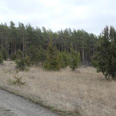 Hute vor dem Bärenberg