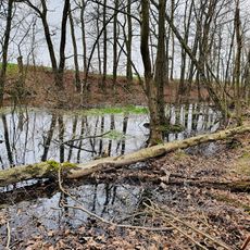 Großsteinberg-Ammelshain