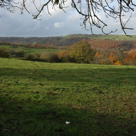 Woodchester Park