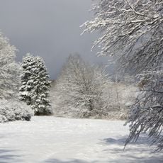 Arboretum de la Sivrite