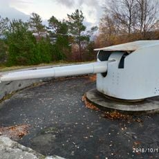 Cannon