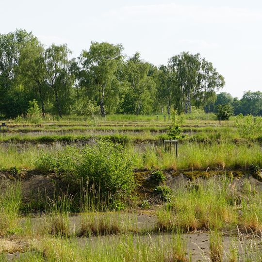 Rieselfelder Karolinenhöhe