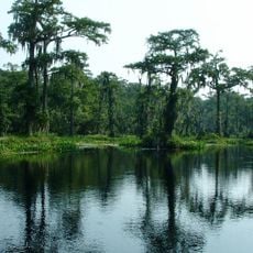 Wakulla Springs
