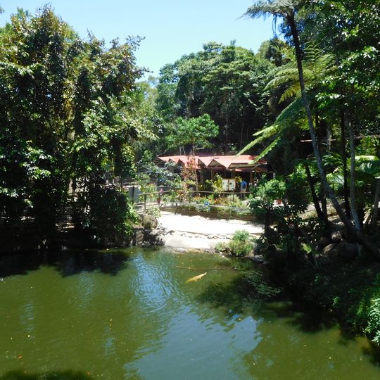 Kuranda Koala Gardens