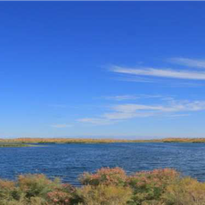 State wildlife sanctuary “Khadicha”