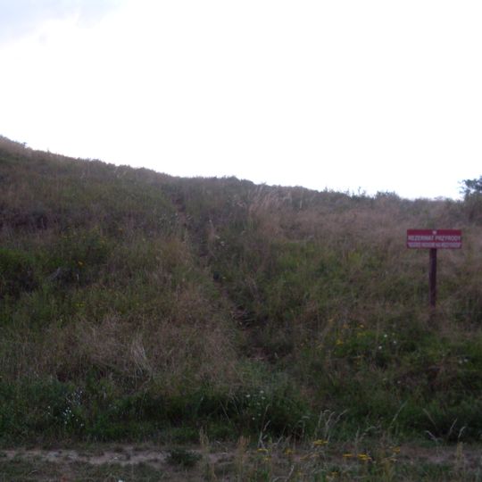 Nature reserve Wzgórze Widokowe nad Międzyodrzem