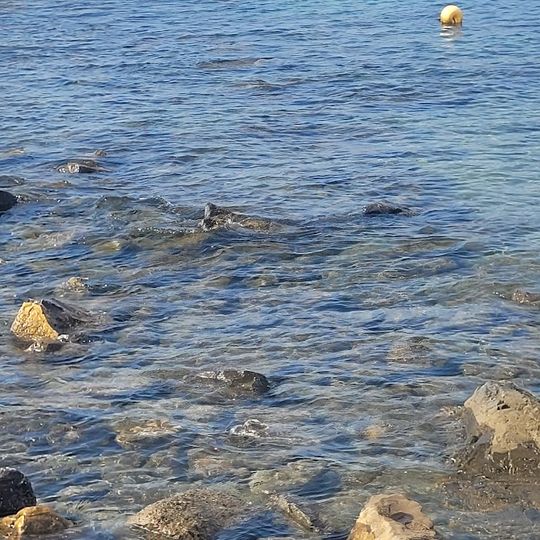 Spiaggia libera attrezzata