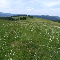 Roztoka (Góry Leluchowskie)