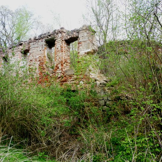 Palace in Dębowy Gaj