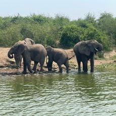 Queen Elizabeth National Park