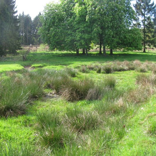 Habichtswald und Seilerberg bei Ehlen
