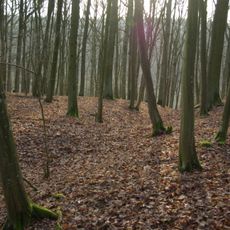 Ringwall Schwedenschanze (Kützberg)