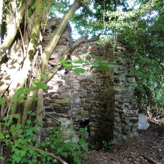 Ruine Plixholz