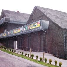 Schwarzer Laubfrosch