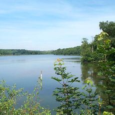 Moorgreen Reservoir