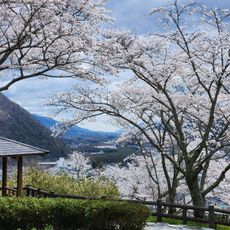 丸山公園