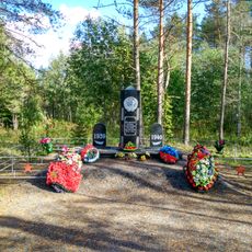 Братская могила советских воинов, павших в боях за Родину (Питкярантское г.п.)