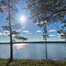 Pasvik Nature Reserve