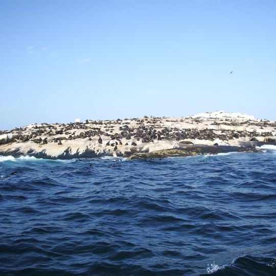Seal Island