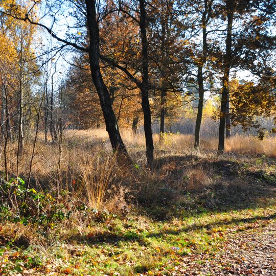 Landweer: Groote Heide