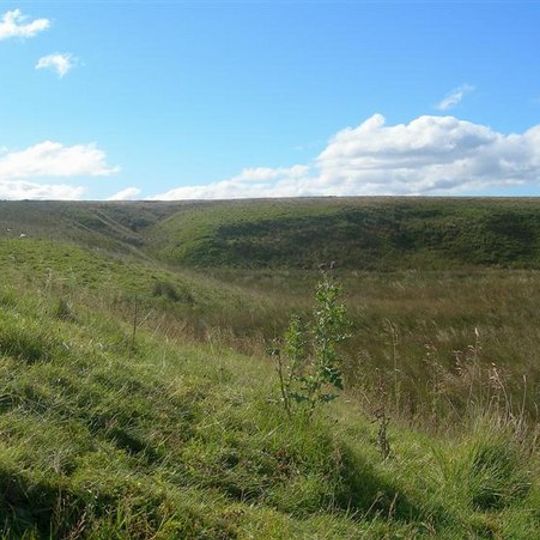 Airds Moss RSPB Reserve