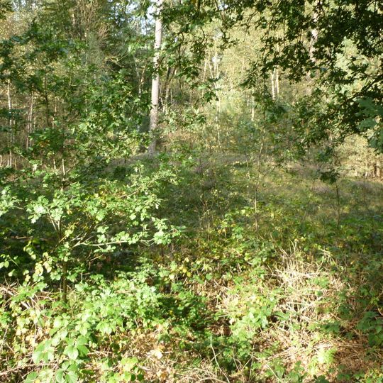 Terrein met grafheuvel