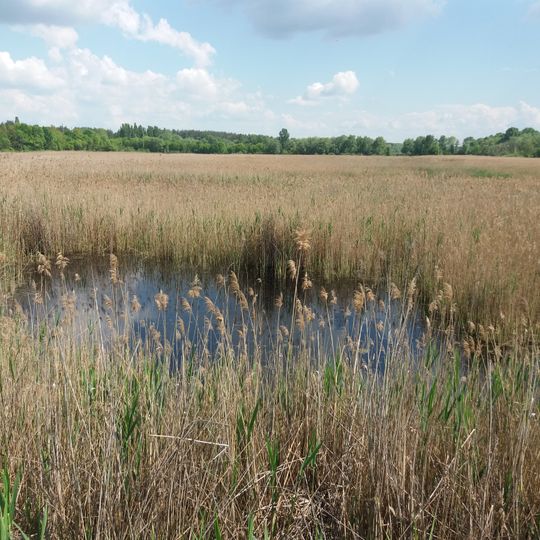 Bilovahivskyi Hydrological Reserve