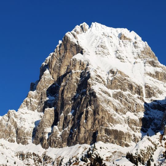 Pflerscher Tribulaun
