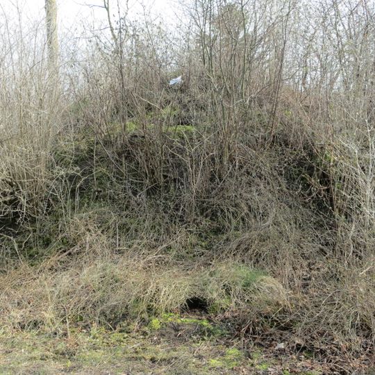 Västra Skrävlinge 1:1