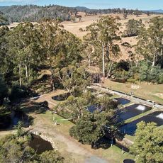 Buxton Trout & Salmon Farm