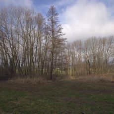 Quellwiese und Gehölz