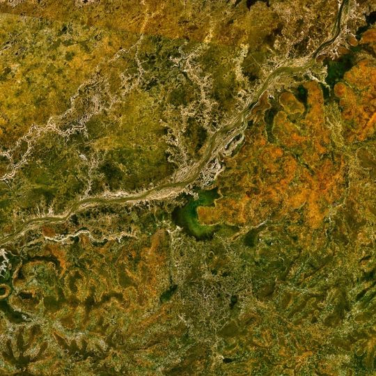 Bani River