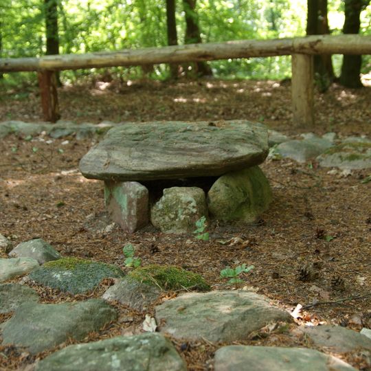 Archäologischer Wanderpfad in der Fischbeker Heide