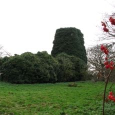 Remains of Church of St Edmunds