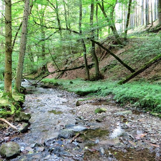 Bachtal Saure Epscheid