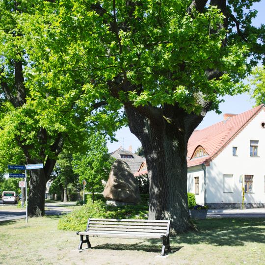 Naturdenkmal Eichen am Denkmal Alt-Langerwisch, Straße der Einheit, am Denkmal in Langerwisch