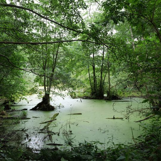 Zehdenicker - Mildenberger Tonstiche