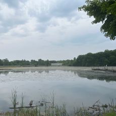 Wilcox Lake
