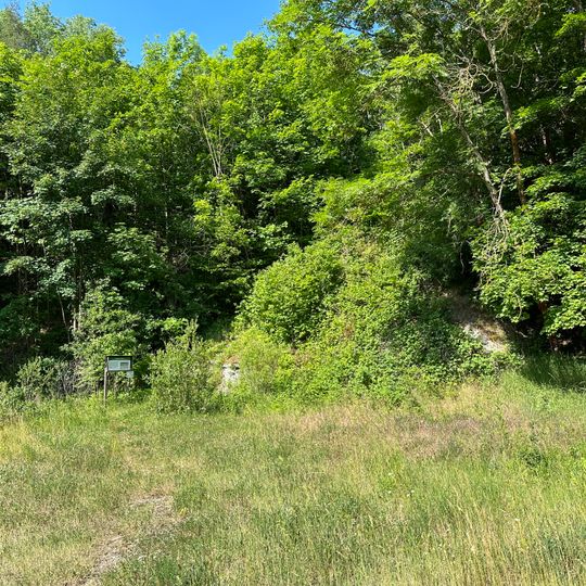 Mergelgrube Göschwitz