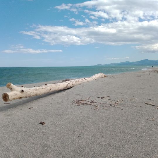 Plage du grand large