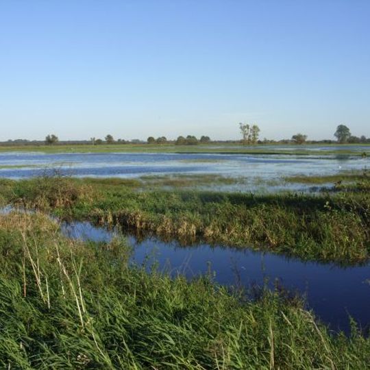 Borgfelder Wümmewiesen