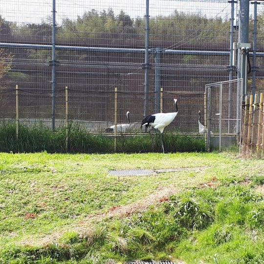 きびじつるの里